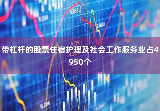 带杠杆的股票住宿护理及社会工作服务业占4950个