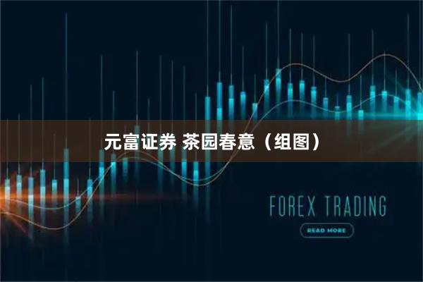 元富证券 茶园春意（组图）