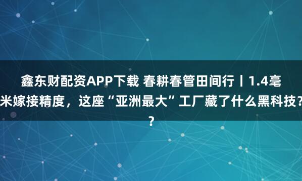 鑫东财配资APP下载 春耕春管田间行丨1.4毫米嫁接精度,这座“亚洲最大”工厂藏了什么黑科技?