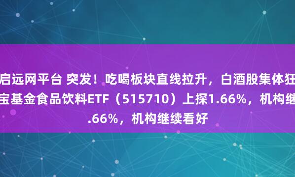 启远网平台 突发！吃喝板块直线拉升，白酒股集体狂欢！华宝基金食品饮料ETF（515710）上探1.66%，机构继续看好